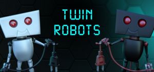 Twin Robots