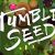 TumbleSeed PlayStation 4