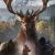 theHunter: Call of the Wild PlayStation 4