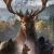 theHunter: Call of the Wild Xbox One