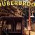 Truberbrook Nintendo Switch