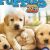 Puppies 3D Nintendo 3DS