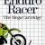 Enduro Racer Master System