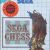 Sega Chess (Info-Sega Hot-Line) Master System