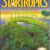 StarTropics Nintendo Nes