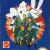 Ghostbusters II Nintendo Nes