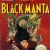 Wrath of the Black Manta Nintendo Nes